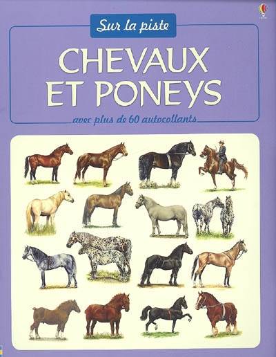 Chevaux et poneys | Phillip Clarke, Sue Testar, Malcom McGregor, Veronique Dreyfus