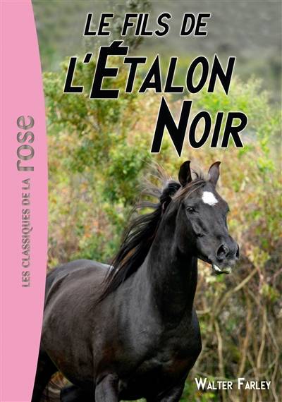 L'étalon noir. Vol. 4. Le fils de l'étalon noir | Walter Farley, Jacques Brécard, Philippe Rouet