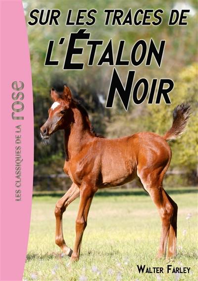 L'étalon noir. Vol. 7. Sur les traces de l'étalon noir | Walter Farley, Jean Muray, Philippe Rouet