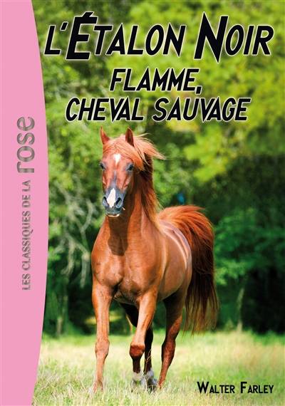 L'étalon noir. Vol. 10. Flamme, cheval sauvage | Walter Farley, Jules Bréant, Philippe Rouet