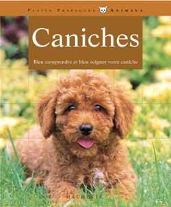 Caniche | 