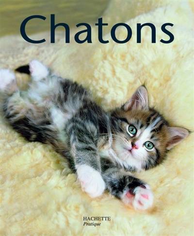 Chatons | Brigitte Eilert-Overbeck, Monika Wegler, Mireille Touret