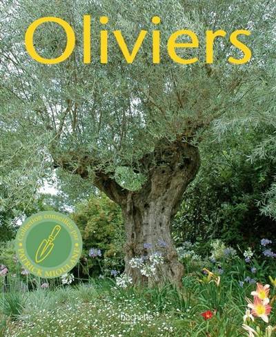 Oliviers : l'histoire de la culture de ces arbres de légende | Elise Fontaine