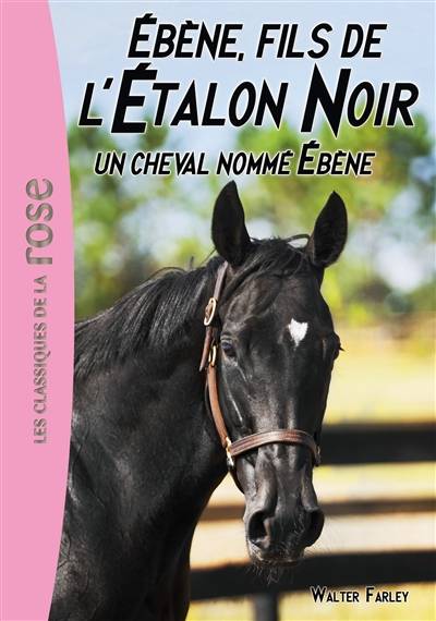 L'étalon noir. Vol. 22. Ebène, fils de l'étalon noir. Un cheval nommé Ebène | Steven Farley, Sophie Dalle