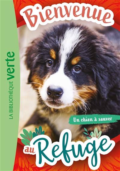 Bienvenue au refuge. Vol. 2. Un chien à sauver | Pascal Ruter