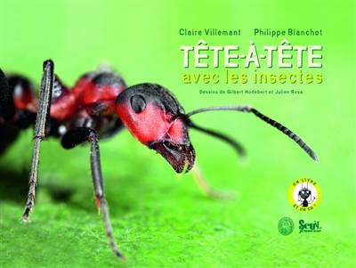 Tête-à-tête avec les insectes | Claire Villemant, Philippe Blanchot, Gilbert Hodebert, Julien Rosa