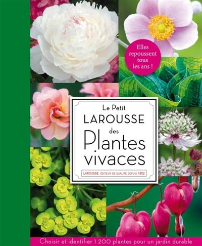 Le petit Larousse des plantes vivaces | Agnes Dumoussaud, Lucie Deruette