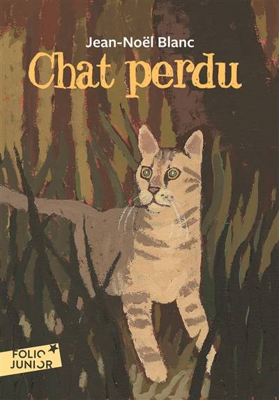 Chat perdu | Jean-Noël Blanc, Jean-Claude Götting