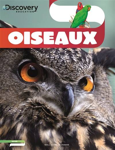 Oiseaux | Lesley McFadzean, Marine Bellanger