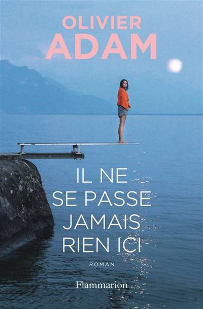 Il ne se passe jamais rien ici | Olivier Adam