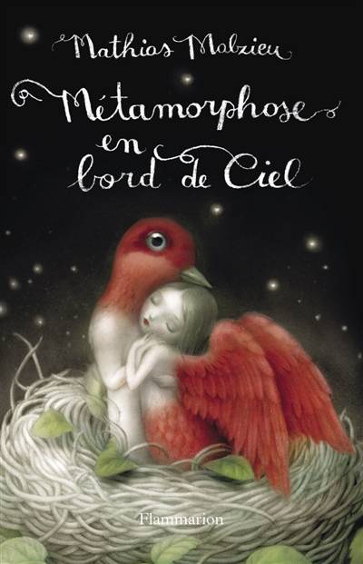 Métamorphose en bord de ciel | Mathias Malzieu