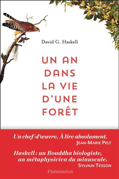 Un an dans la vie d'une forêt | David George Haskell, Thierry Pielat