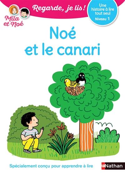 Noé et le canari : une histoire à lire tout seul, niveau 1 | Eric Battut, Nathalie Desforges