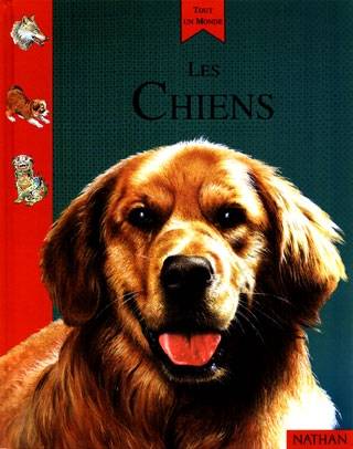 Les chiens | Amanda O'Neill