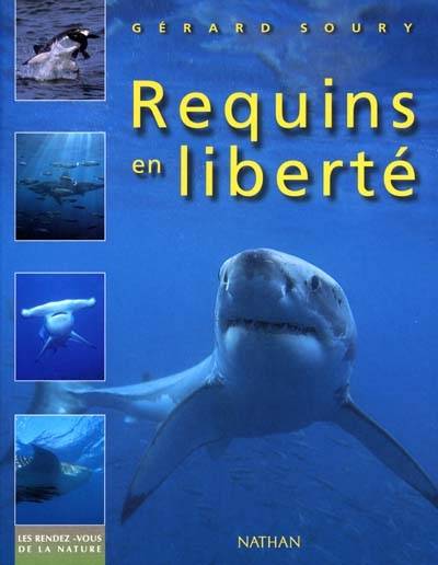 Requins en liberté | Gérard Soury, Maurizio Würtz