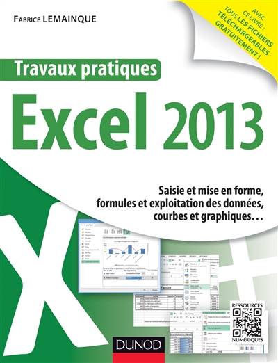 Travaux pratiques Excel 2013 : saisie et mise en forme, formules et exploitation des données, courbes et graphiques... | Fabrice Lemainque