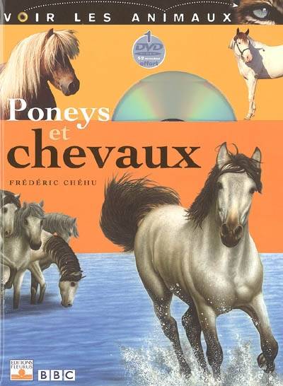 Poneys et chevaux | Frédéric Chéhu