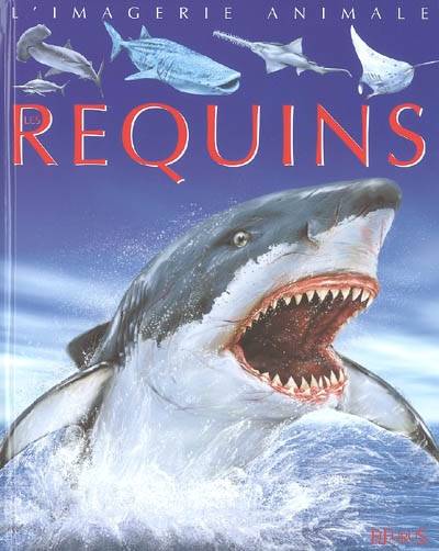 Requins | Cathy Franco, Jacques Dayan