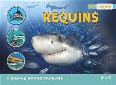 Requins | Michael Bright, Ameline Nereaud