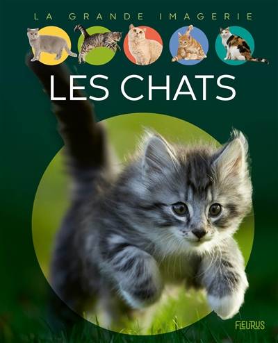 Les chats | Agnès Vandewiele