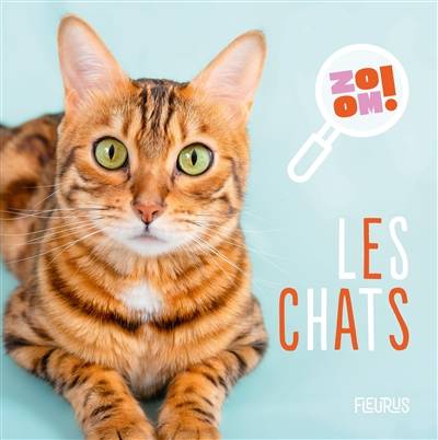 Les chats | Emmanuelle Kecir-Lepetit