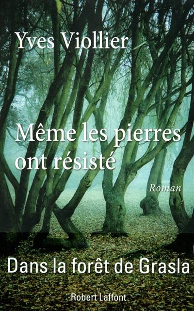 Même les pierres ont résisté | Yves Viollier