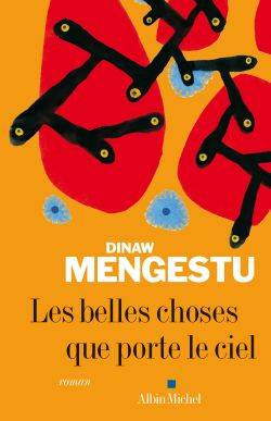 Les belles choses que porte le ciel | Dinaw Mengestu, Anne Wicke