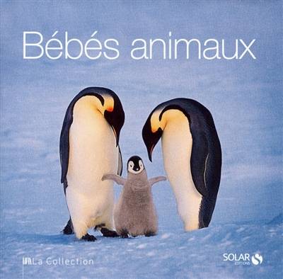 Bébés animaux | 