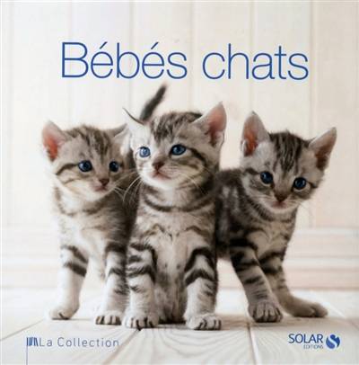 Bébés chats | Rita Mabel Schiavo, Valeria Manferto De Fabianis, Giorgia Raineri, Elodie Ganneau, Danièle Chenal