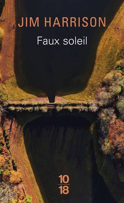 Faux soleil : l'histoire d'un chef d'équipe américain, Robert Carvus Strang, racontée à Jim Harrison | Jim Harrison, Brice Matthieussent