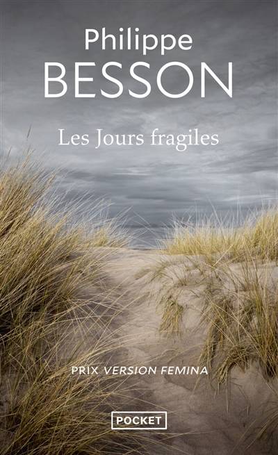 Les jours fragiles | Philippe Besson