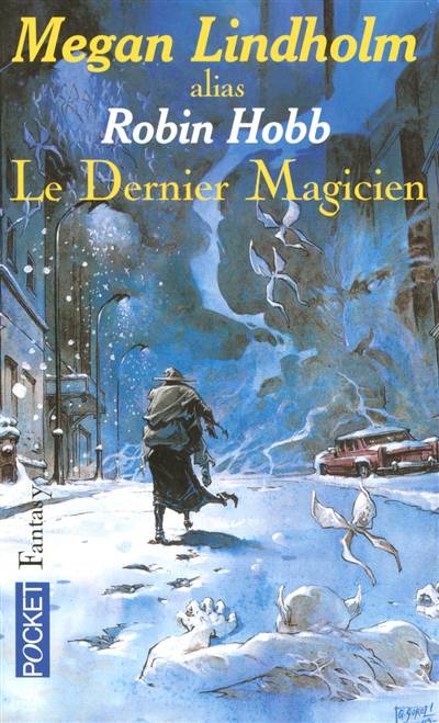 Le dernier magicien | Megan Lindholm, Sylvie Denis