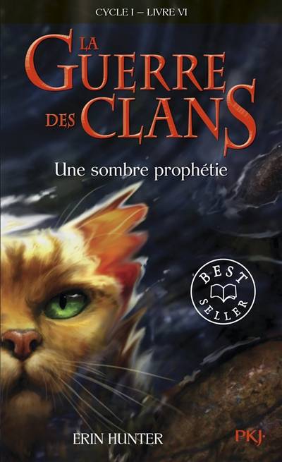 La guerre des clans : cycle 1. Vol. 6. Une sombre prophétie | Erin Hunter