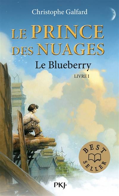 Le prince des nuages. Vol. 1. Le Blueberry | Christophe Galfard, Vincent Dutrait