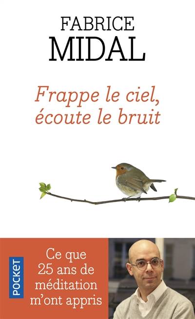 Frappe le ciel, écoute le bruit : ce que vingt-cinq ans de méditation m'ont appris | Fabrice Midal