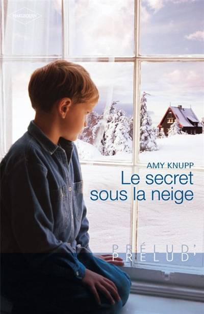 Le secret sous la neige | Amy Knupp, Dominique Truffandier