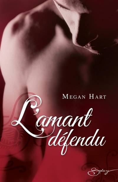 L'amant défendu | Megan Hart, Alba Neri