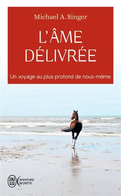 L'âme délivrée : un voyage au plus profond de nous-même | Michael A Singer, Christian Hallé