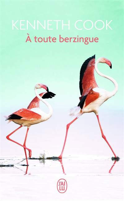 A toute berzingue | Kenneth Cook, Douglas Kennedy, Mireille Vignol