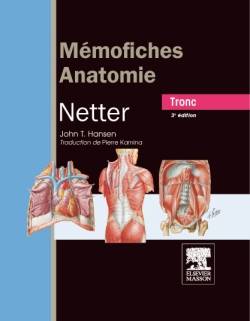 Mémofiches anatomie Netter : tronc | John T. Hansen, Pierre Kamina