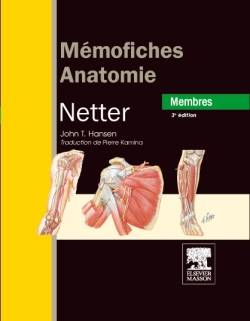 Mémofiches anatomie Netter : membres | John T. Hansen, Pierre Kamina