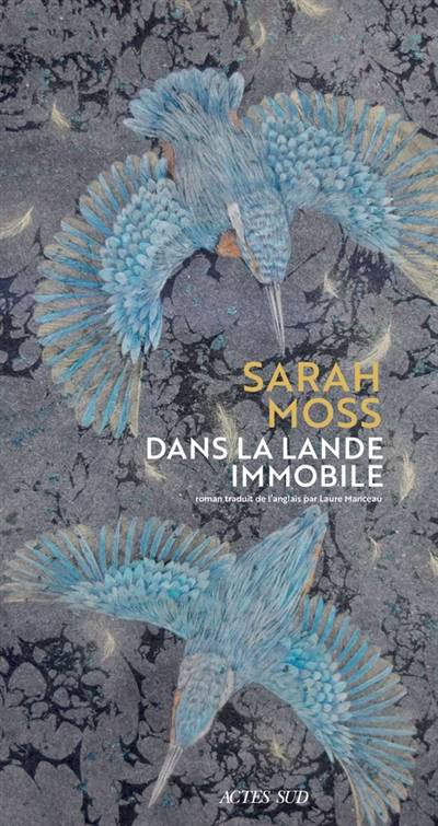 Dans la lande immobile | Sarah Moss, Laure Manceau