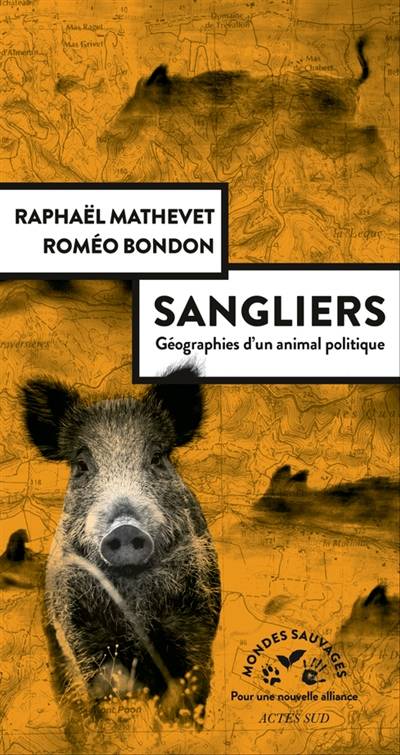 Sangliers : géographies d'un animal politique | Raphael Mathevet, Romeo Bondon