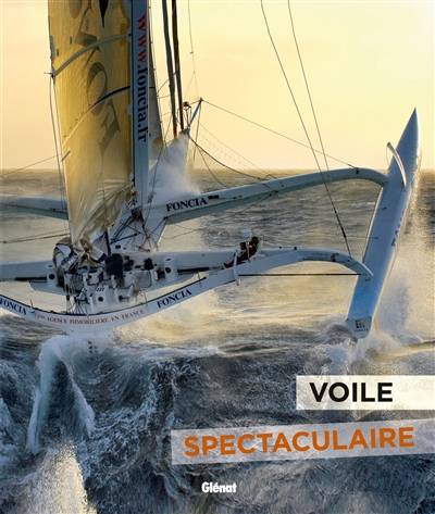 Voile spectaculaire | Fabrice Amedeo