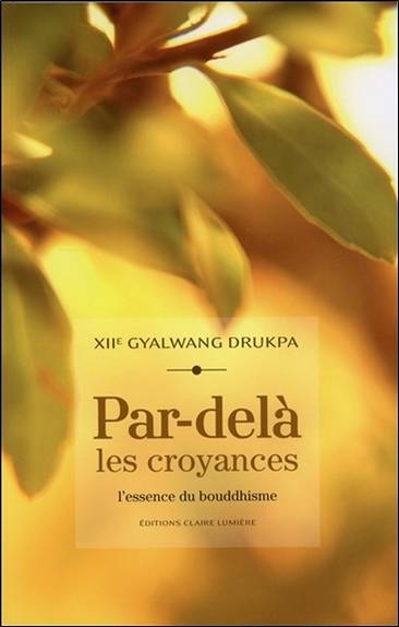 Par-delà les croyances : l'essence du bouddhisme | Gyalwang Drukpa 12