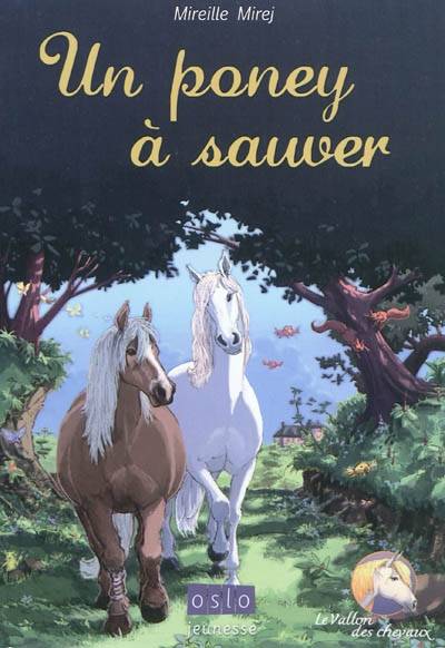 Le vallon des chevaux. Vol. 2. Un poney à sauver | Mireille Mirej, Bruno David