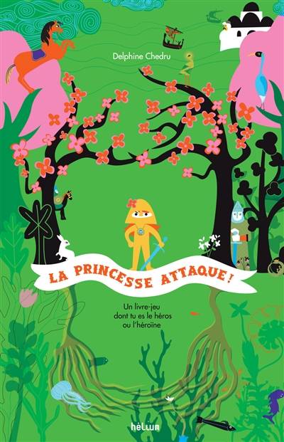 La princesse attaque ! : un livre dont tu es le héros ou l'héroïne | Delphine Chedru