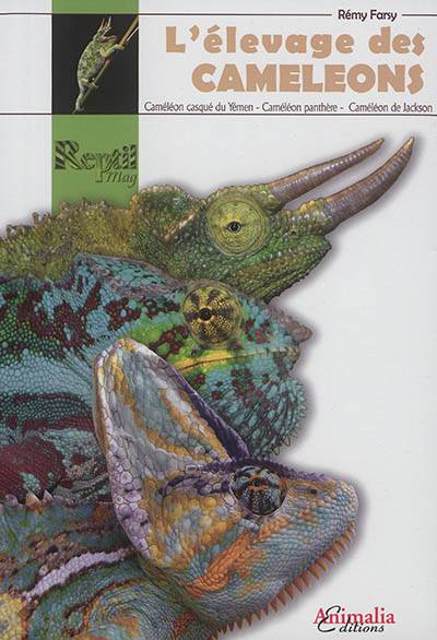 L'élevage des caméléons : caméléon casqué du Yémen, caméléon panthère, caméléon de Jackson | Remy Farsy