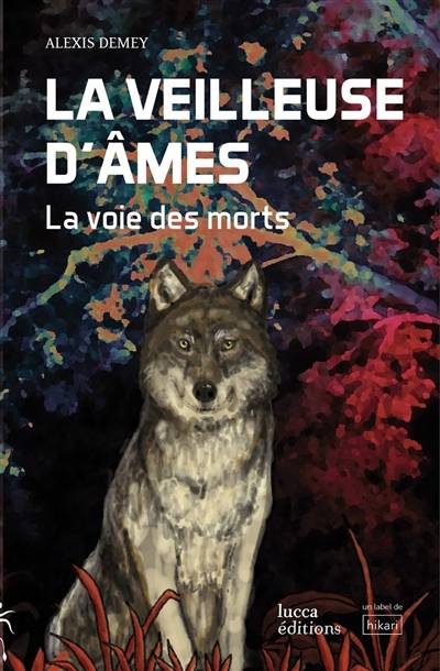 La veilleuse d'âmes. Vol. 1. La voie des morts | Alexis Demey