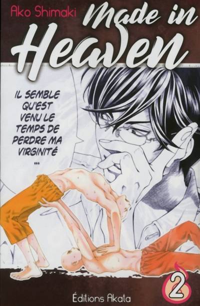 Made in heaven. Vol. 2 | Ako Shimaki, Marie-Saskia Raynal